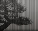 Papier peint contemporain noir motif arbre PLAGUE LONDONART