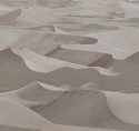 DUNE papier peint LONDONART, dunes de sable sur les murs