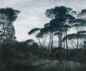 NIGHTCALL papier peint motifs arbres pins LONDONART