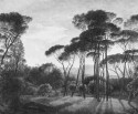 NIGHTCALL papier peint motifs arbres pins LONDONART