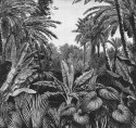 Papier peint TROPICAL MORNINGS palmiers LONDONART