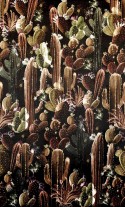 Papier peint cactus COOL LONDONART