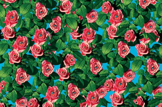 EYES AND ROSES papier peint LONDONART floral design TOILETPAPER