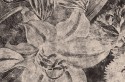 Papier peint LUXURY très grande fleur de lys LONDONART