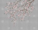 HAORI papier peint tapisserie sur mesure cerisier à fleurs japonais