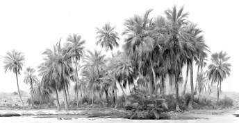 MARRAKECH papier peint palmiers sur mesure LONDONART