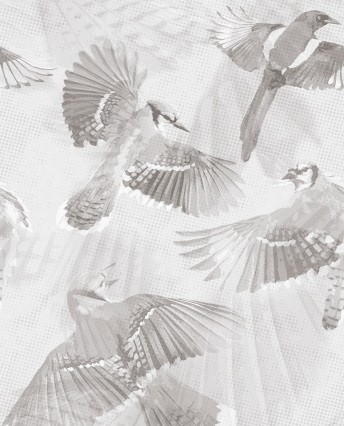 Papier peint oiseaux en vol dessin SYMPHONIA sur mesure LONDONART
