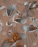 Papier peint oiseaux en vol dessin SYMPHONIA sur mesure LONDONART