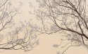 PATINA BLOOM papier peint branche arbre en fleurs LONDONART